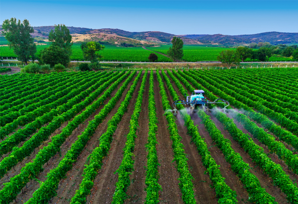 Economic Report Document